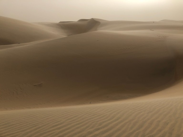 19ECE059-0B57-47BC-B29E-26BAB8E97A4A