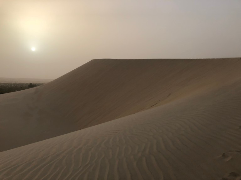 559D596F-677D-4E87-97FF-65B27A20C25F