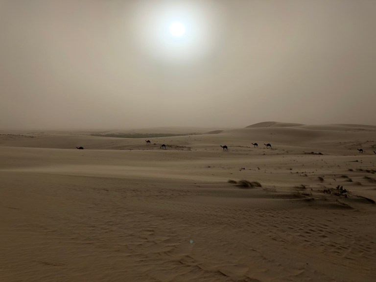 7762F8F7-4959-4D68-A8D1-32BEC460F36F