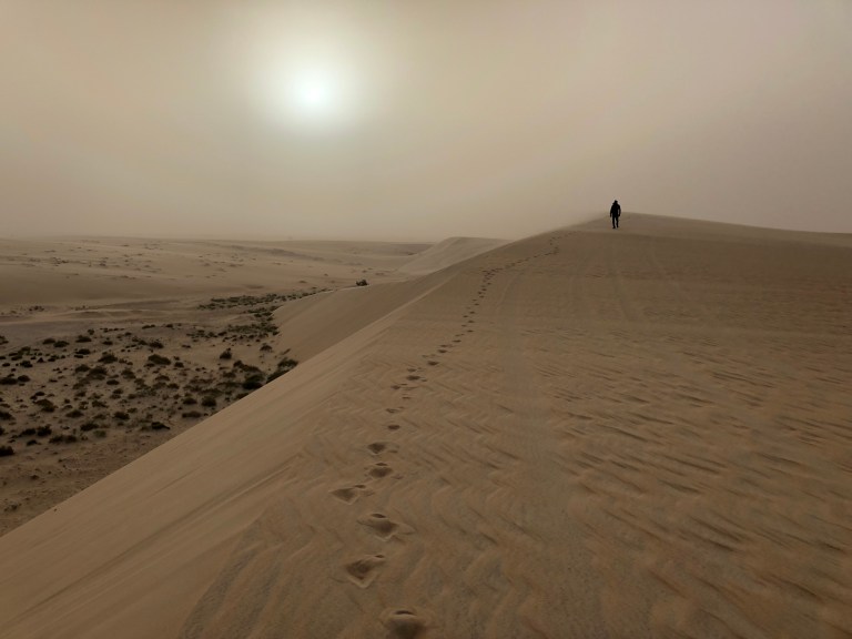 DCED8D79-985A-47A8-8EB8-9C218DB8ABD4