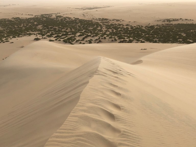 E11C07DD-ACC0-4B80-AED1-1FCB4BE3E431