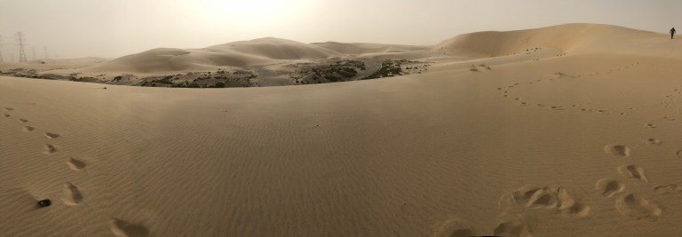 EA7996D3-65F6-4613-B9FD-2478771394F0