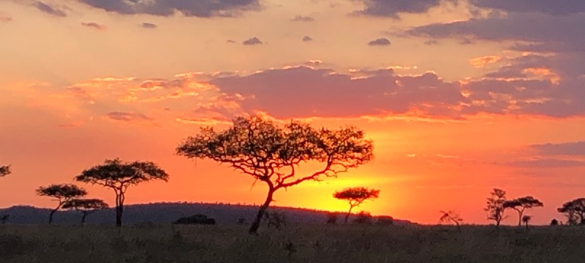 Tanzania Safari ‘19