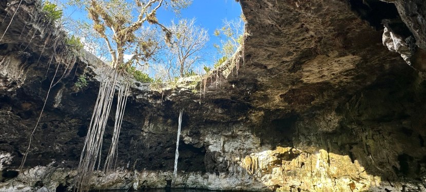 Telchac Puerto ‘23