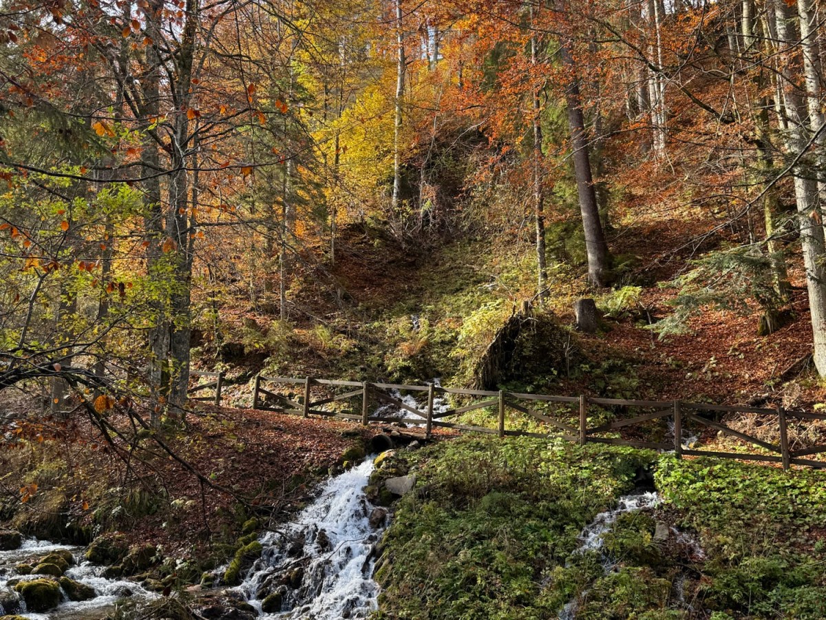 Slovenia, Italy & Serbia&nbsp;‘25